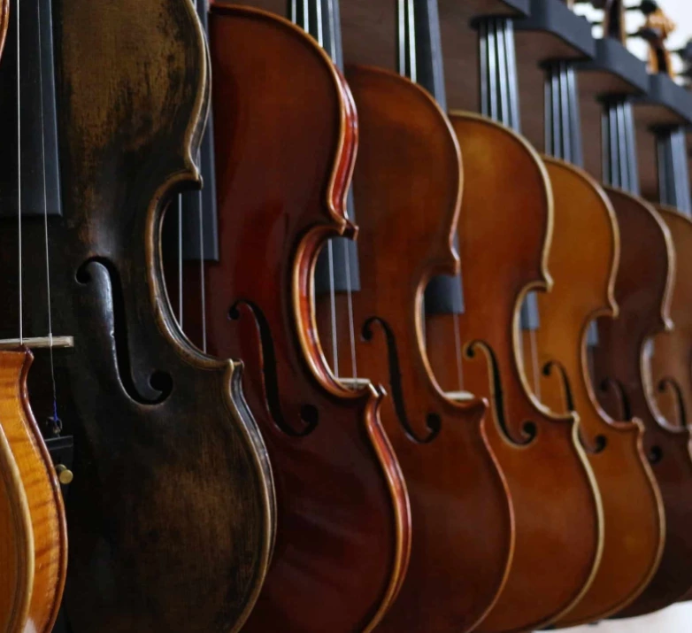Stringed instruments in the service shop