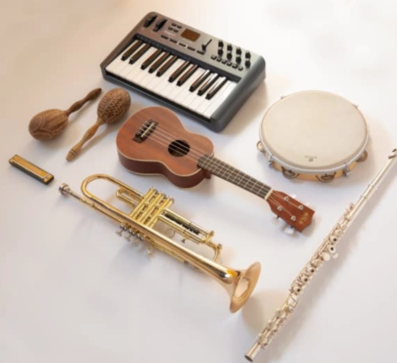 Instrument rental