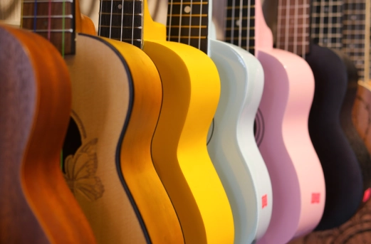 Discover the Excitement of Music Lessons and Top-Quality Instruments From Musicworks