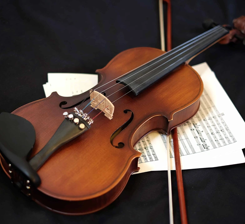 Violin Bow