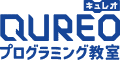 QUREO Programming Class